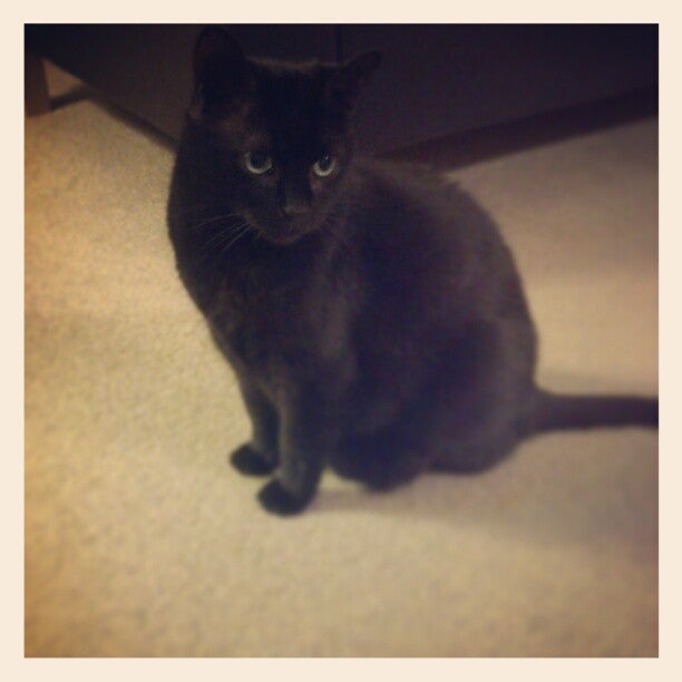 Gateway Apartment Homes, 2979 S Gate Dr, Hartford, WI, Residential