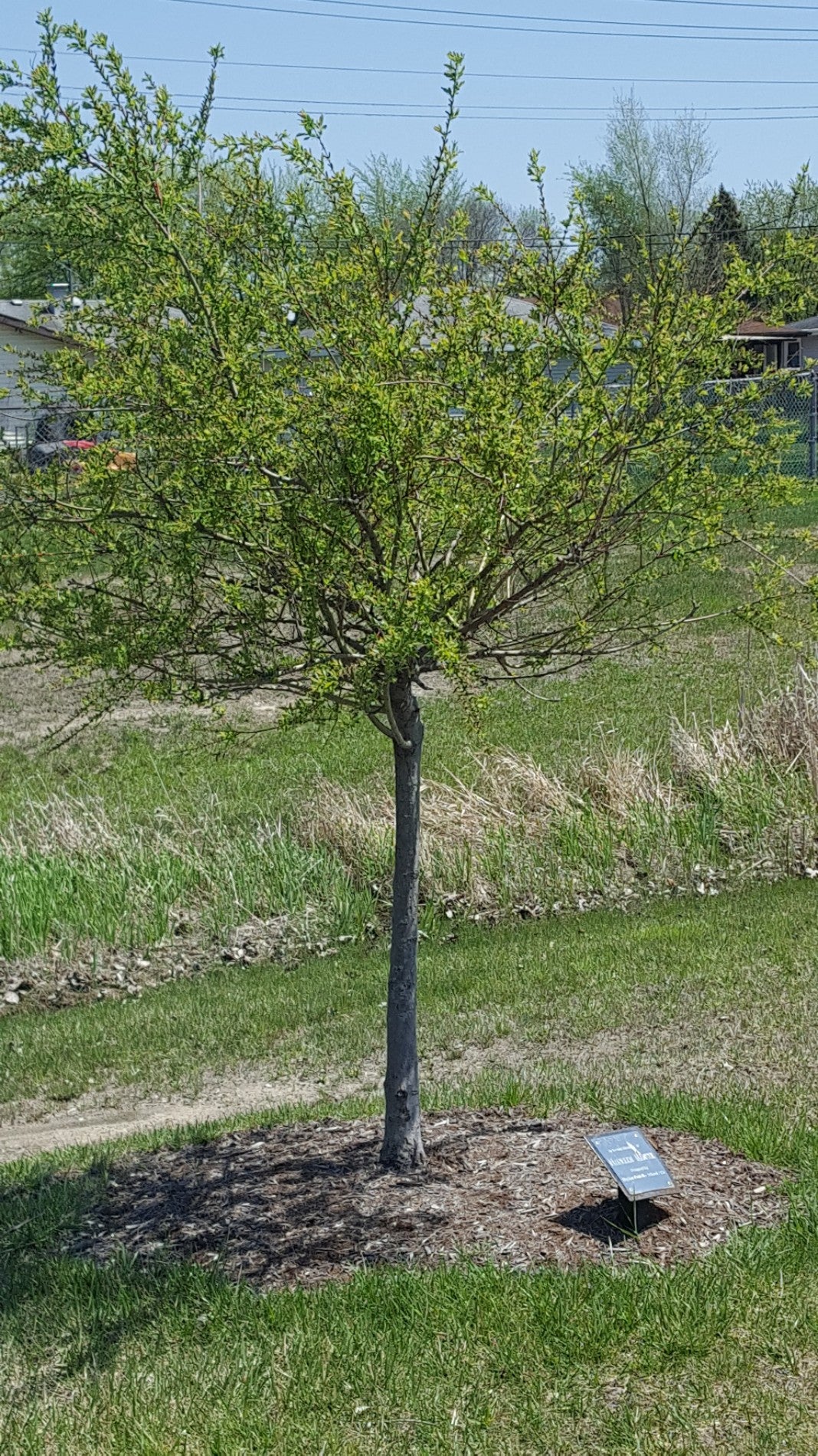 Highland, IN Map & Directions MapQuest