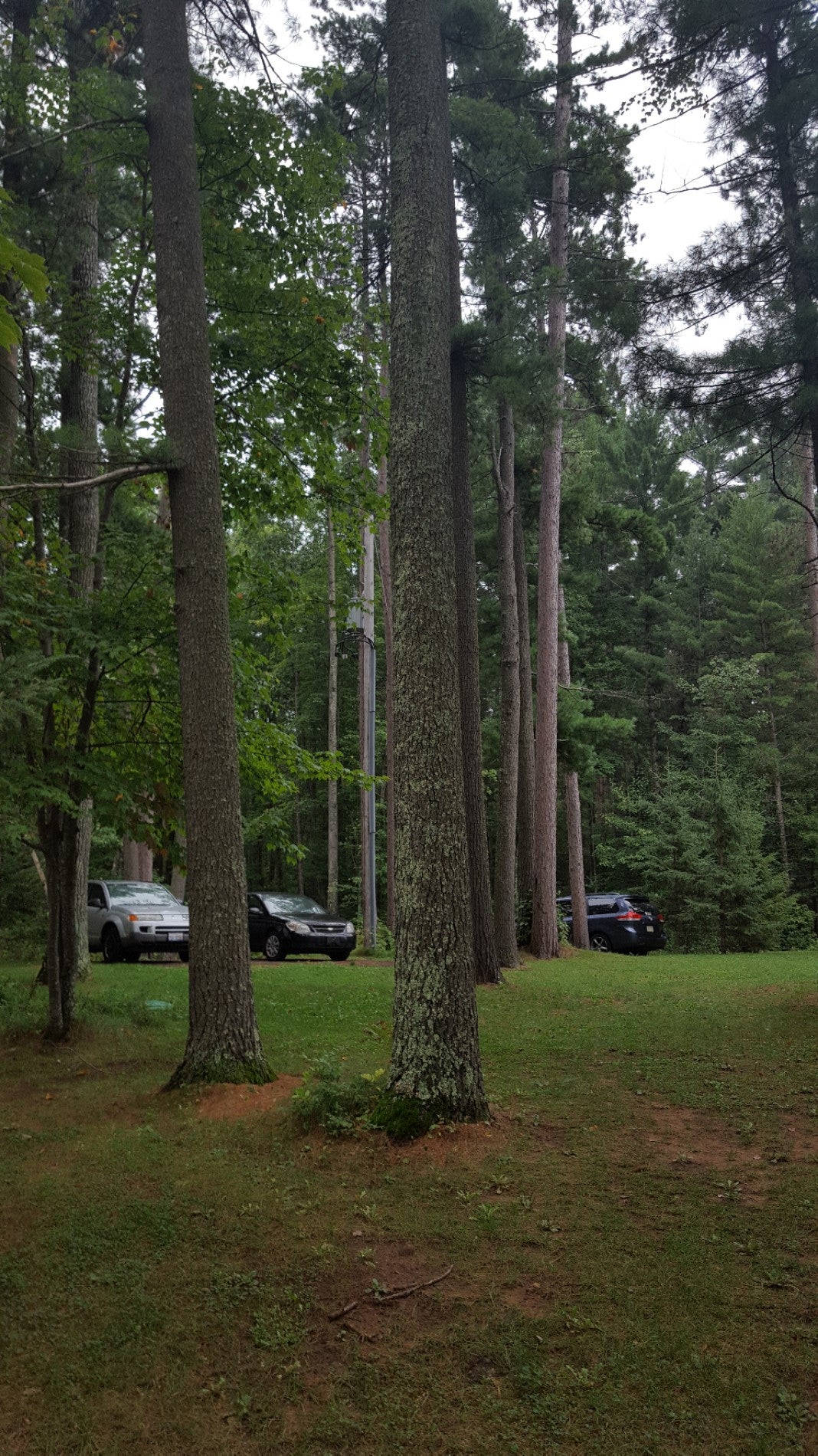 Manitowish Waters, WI Map & Directions MapQuest