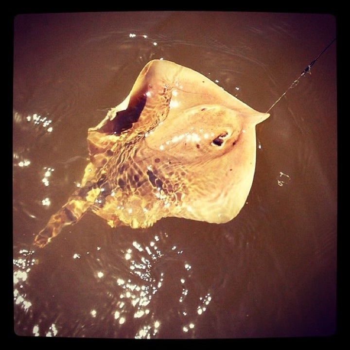 Orange Street Pier, Mobile Ave, Fairhope, AL MapQuest