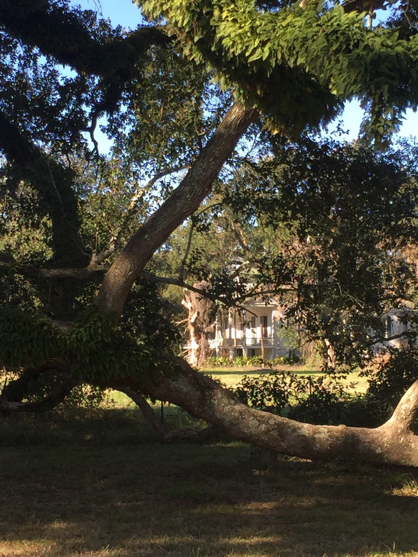 Colfax, LA Map & Directions MapQuest