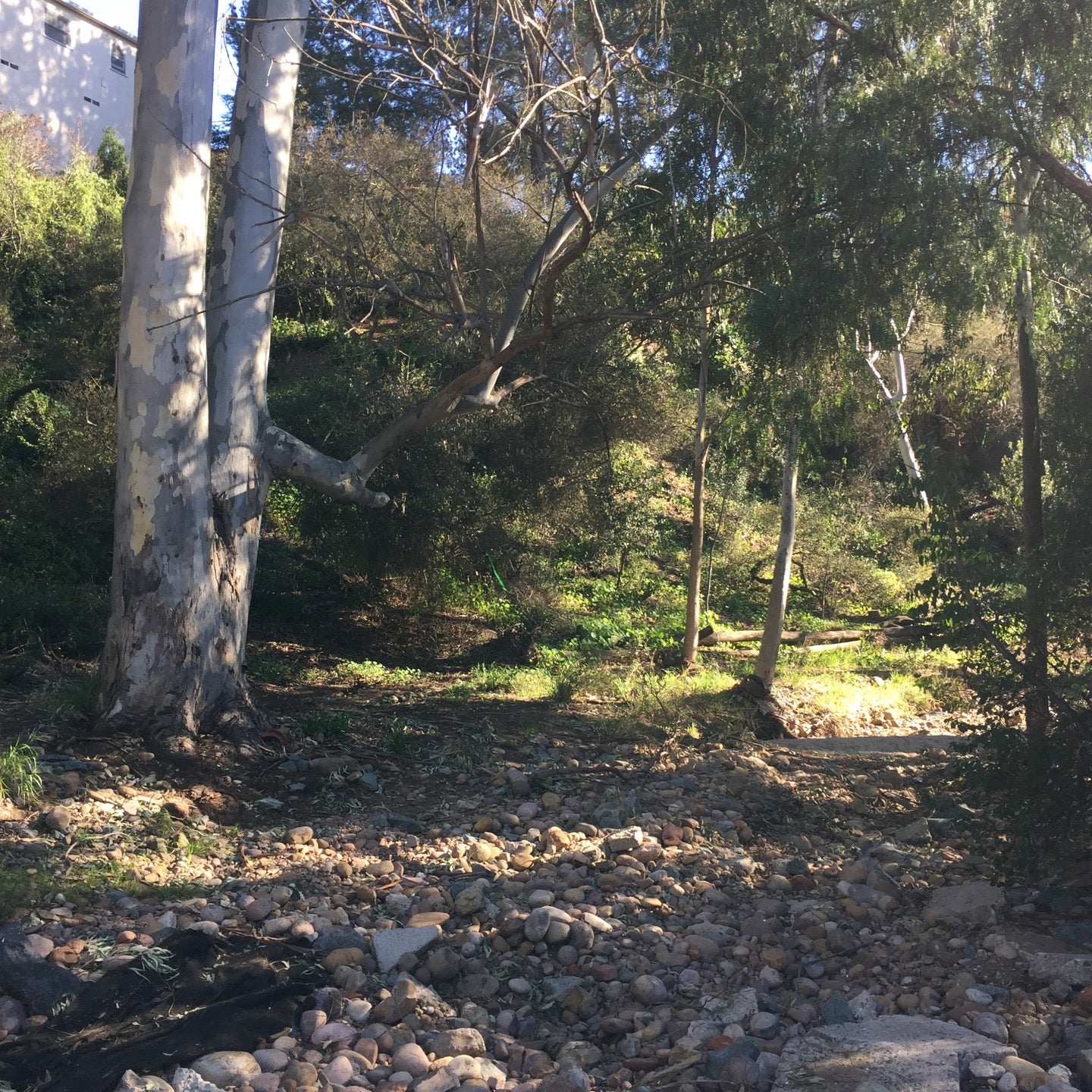 Switzer Canyon, 30th St, San Diego, CA, Parks MapQuest