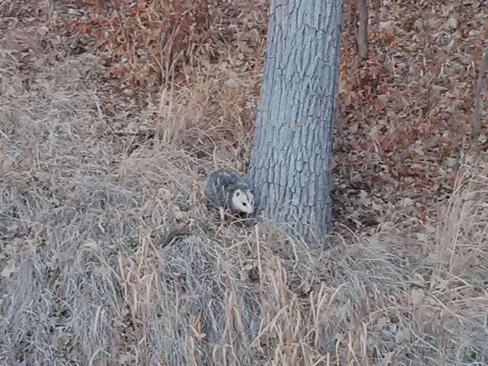 Ponca, NE Map & Directions MapQuest