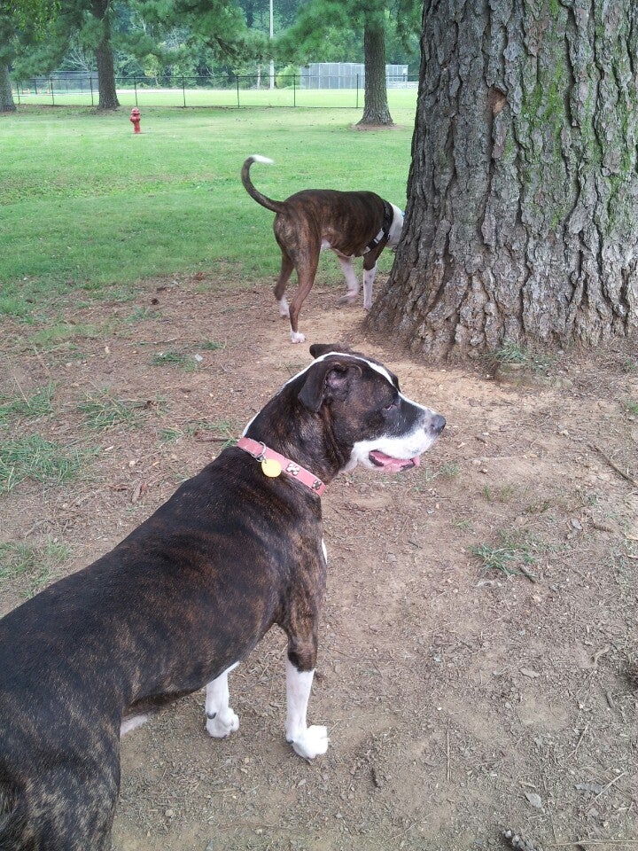 Highland Forest Community Park, Cohutta, GA, Parks MapQuest