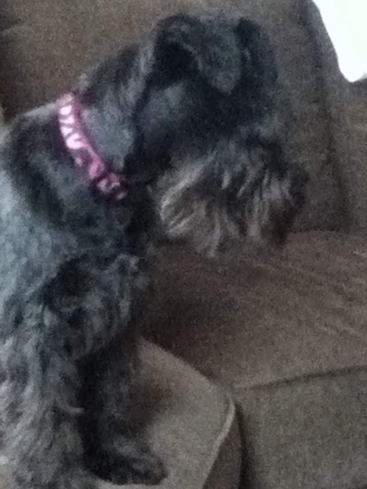 Utica, NY Map & Directions MapQuest