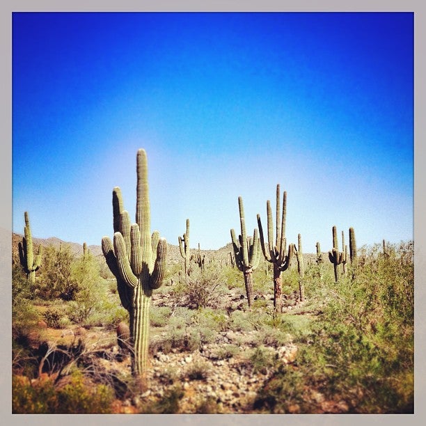 Waddell, AZ Map & Directions MapQuest