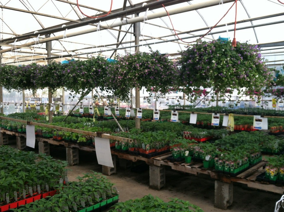 Flowerland, 3801 Alpine Ave NW, Alpine Twp, MI, Garden Centers MapQuest