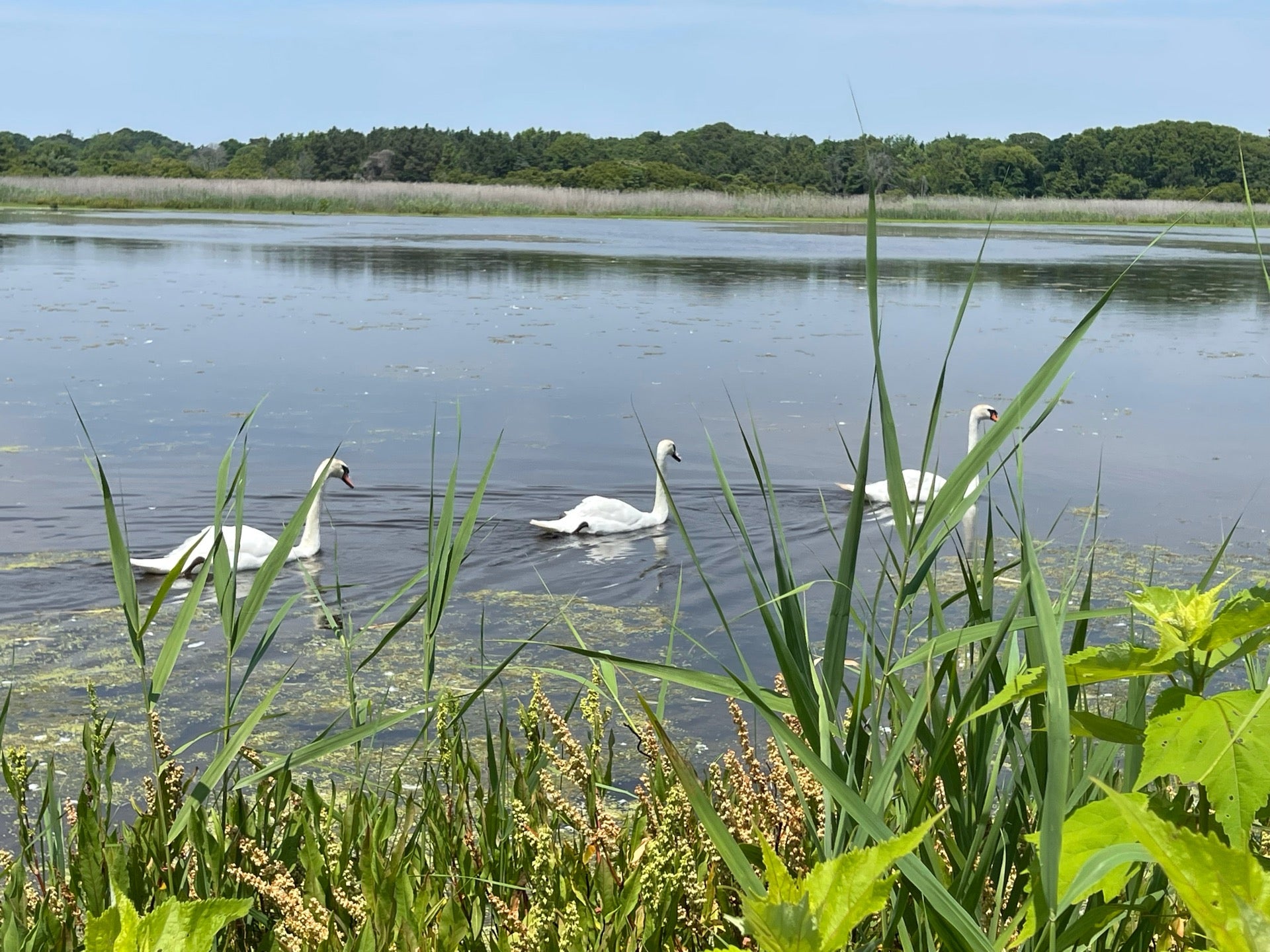 Cape May State Park Nature Trail, Cape May, NJ, Parks MapQuest