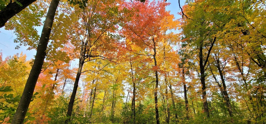 Zimmerman, MN Map & Directions MapQuest