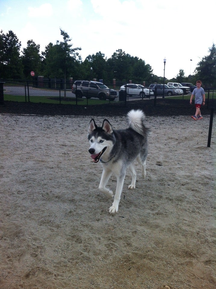 Dog Park At Evans Town Center Park, 632-634 Evans Town Ctr, Evans, GA