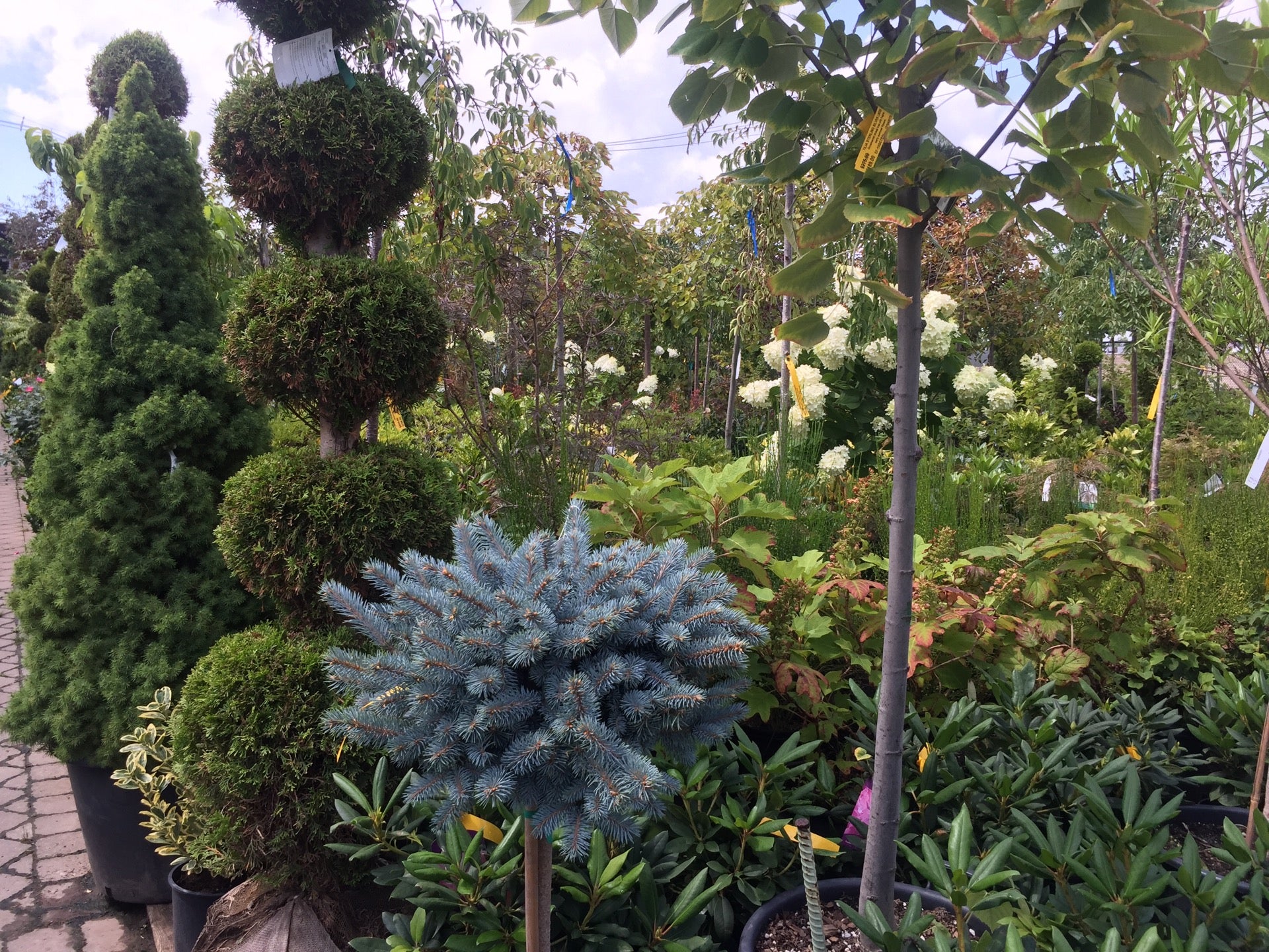 Matera Garden & Nursery Center, 514 Broad Ave, Ridgefield, NJ MapQuest
