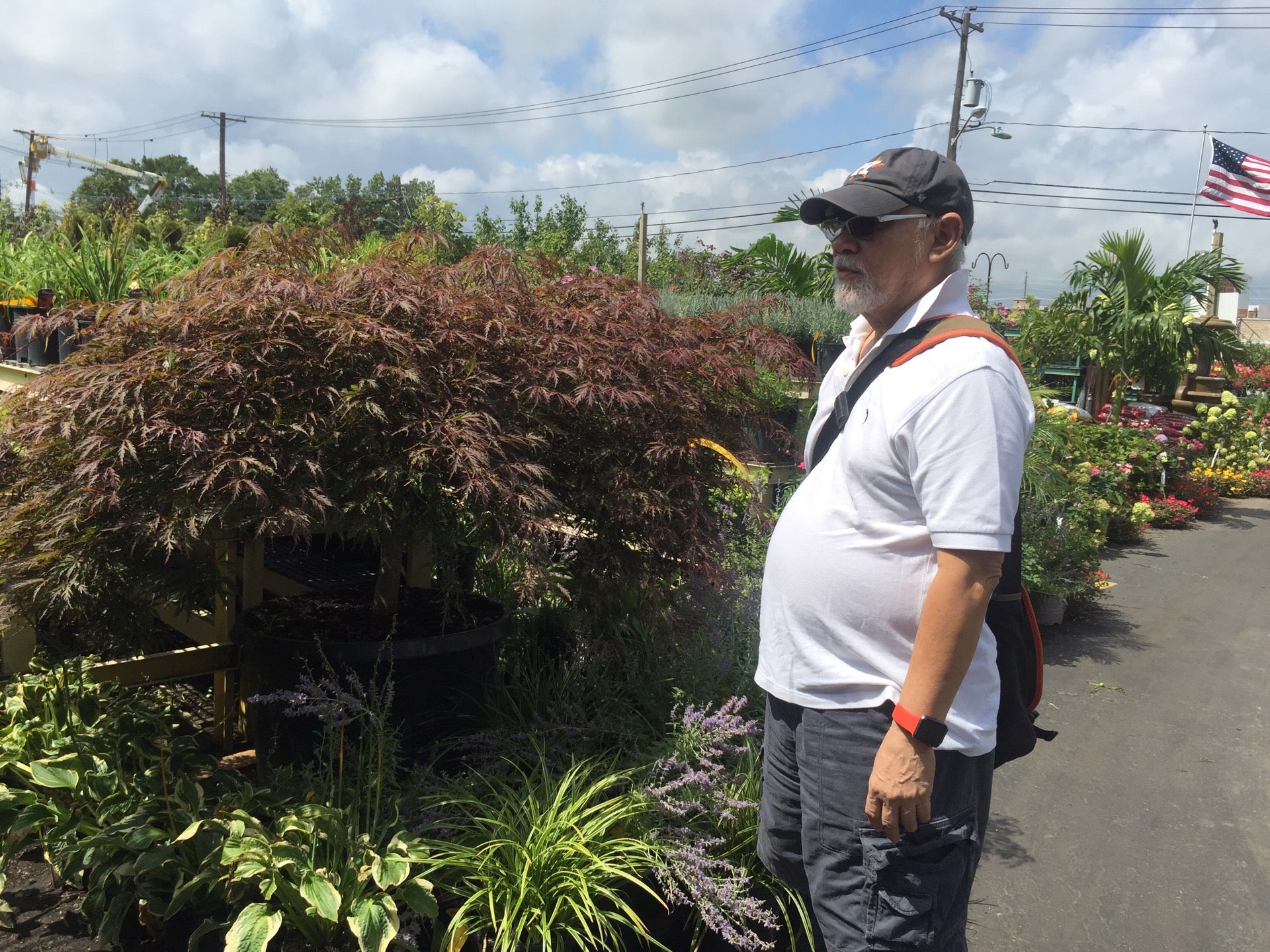 Matera Garden & Nursery Center, 514 Broad Ave, Ridgefield, NJ