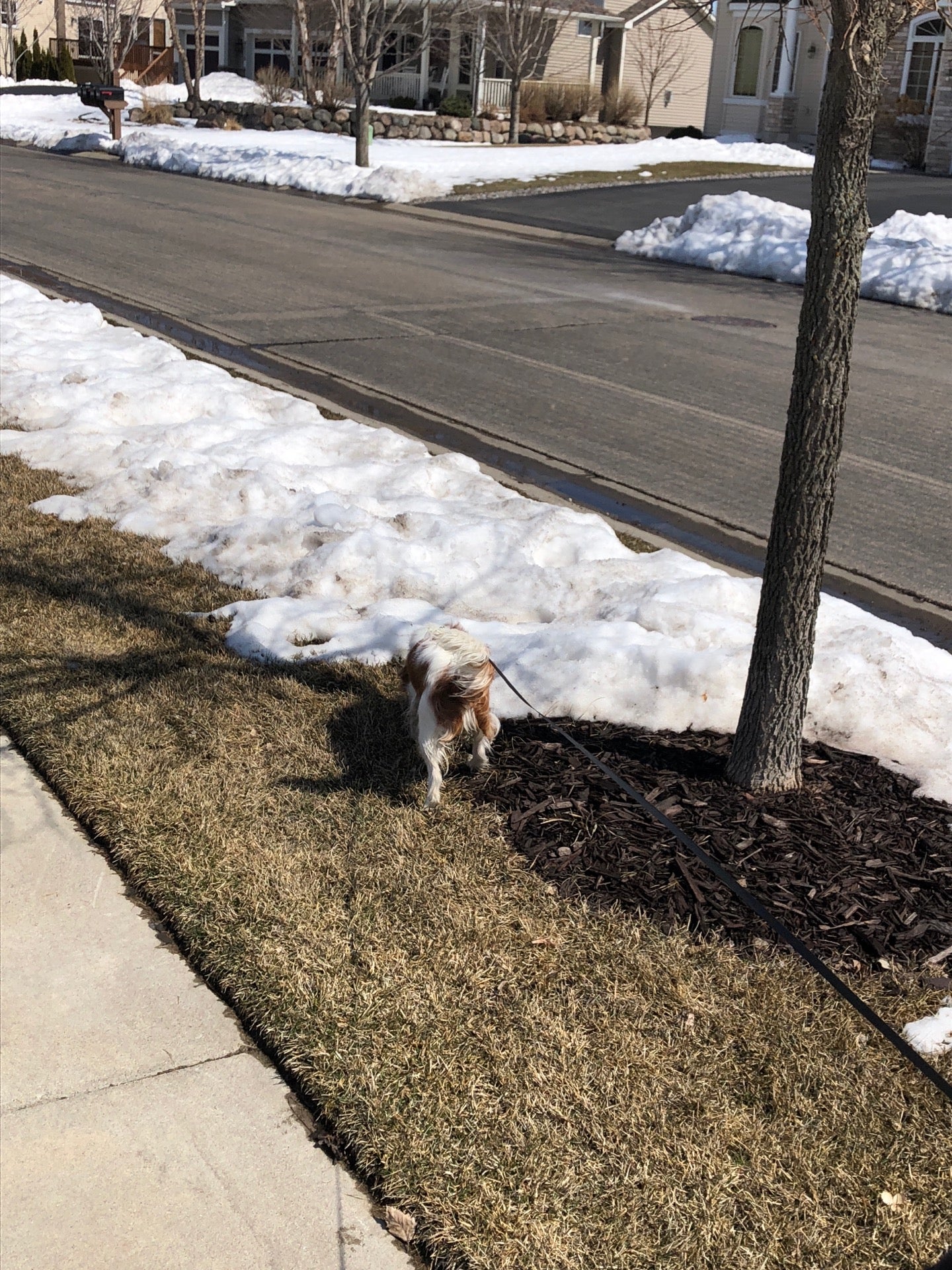 Shirley Logelin Memorial Park, Partridge Rd, St Bonifacius, MN MapQuest