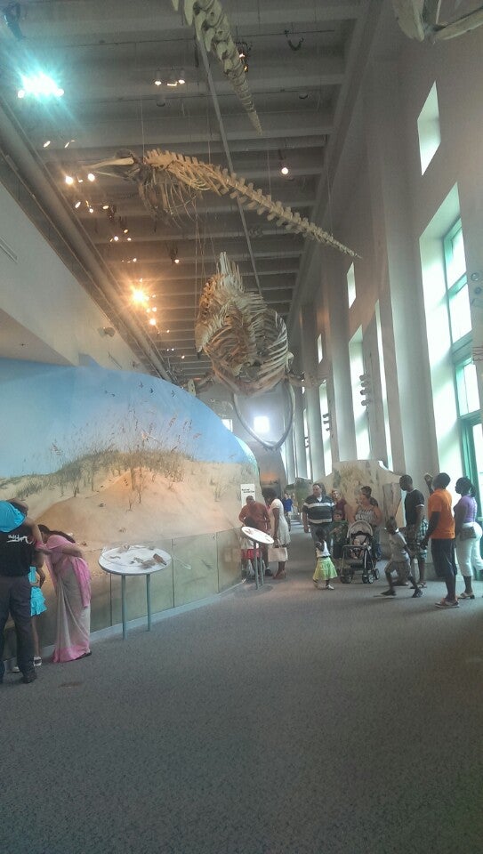 NC Museum of History CAT/RLine Bus Stop, E Edenton St, Raleigh, NC