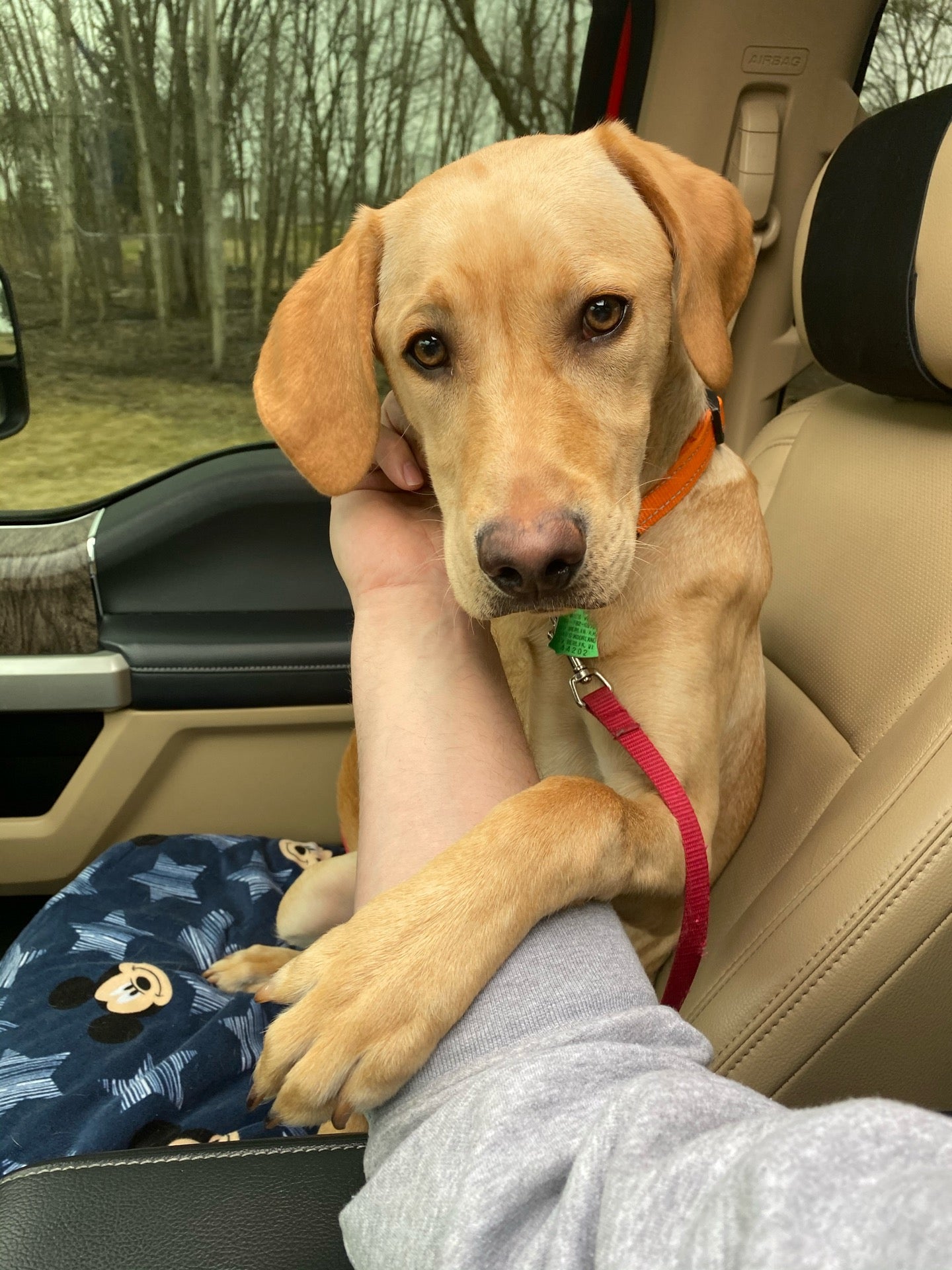 East Troy, WI Map & Directions MapQuest