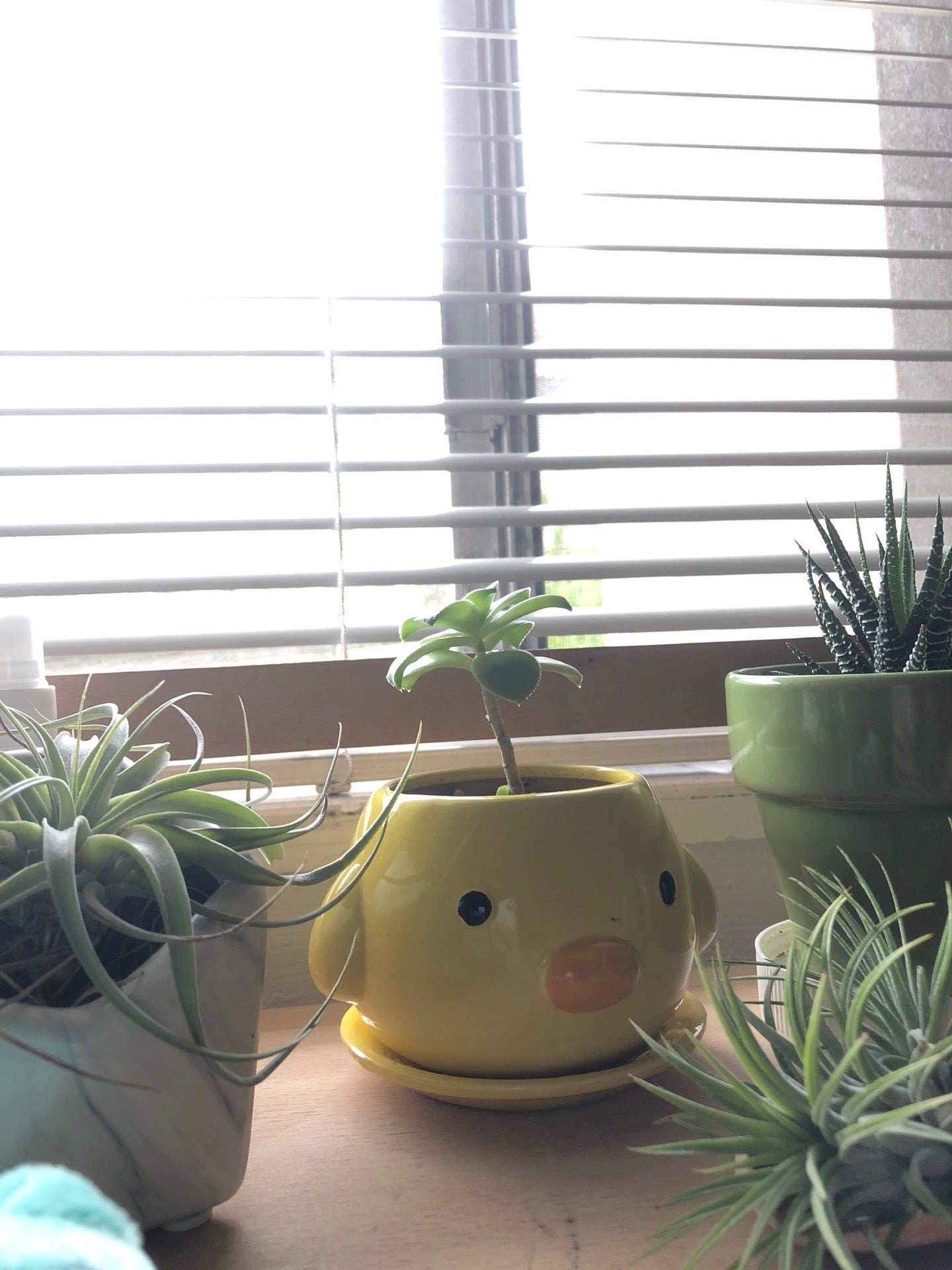 Durant Park Apartments, 2230 Durant Ave, Berkeley, CA MapQuest