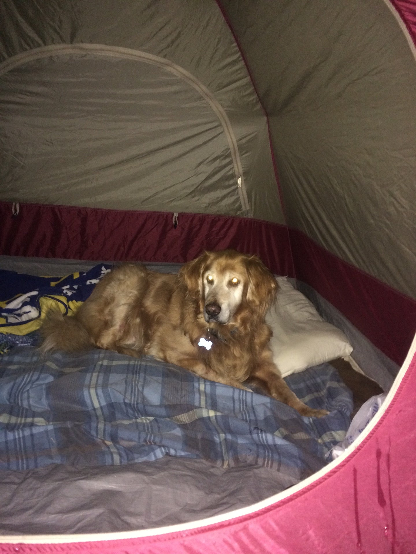 Lansing, WV Map & Directions MapQuest