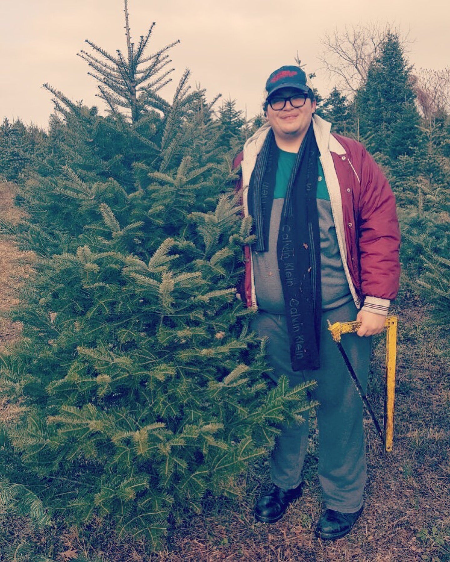 Beck's Christmas Trees