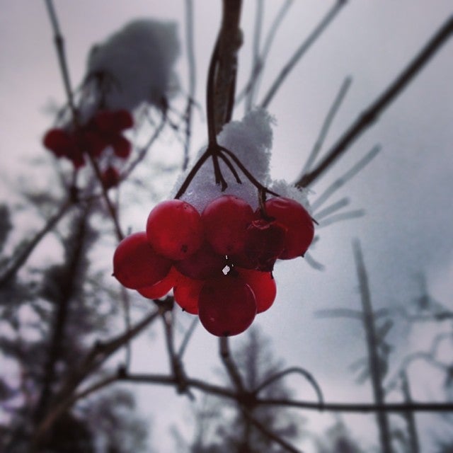 Alanson, MI Map & Directions MapQuest