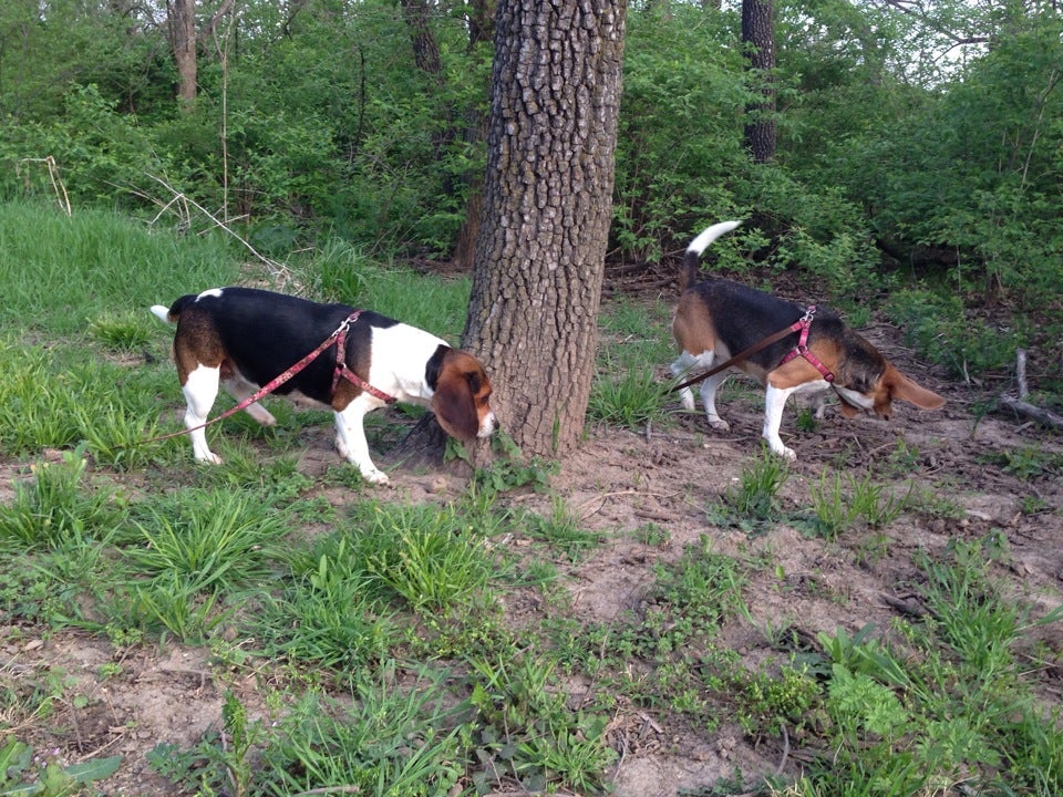 City of Rogers Greenway, Rogers, AR, Trail MapQuest