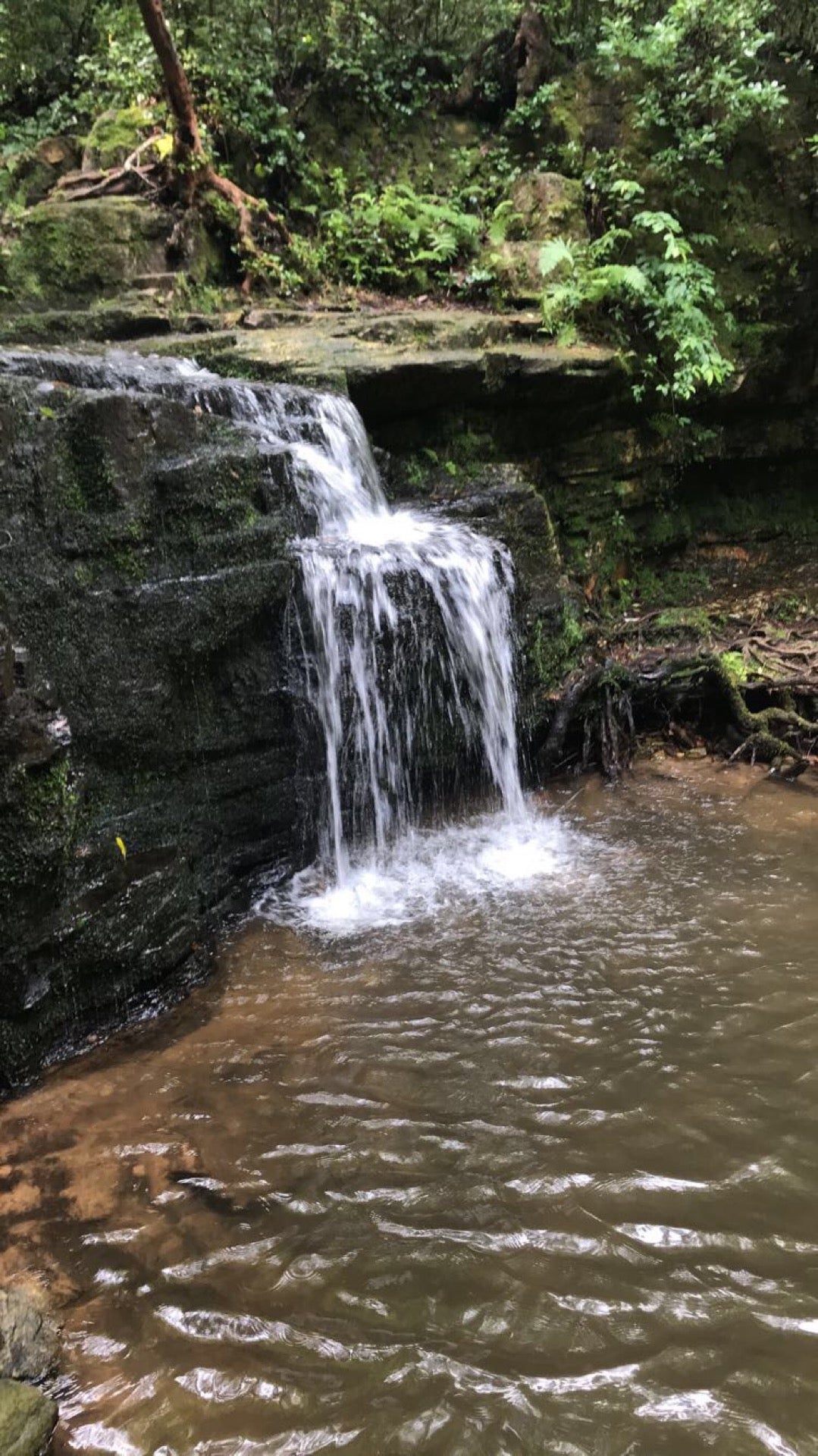 FDR State Park, Pine Mountain, GA, Trail - MapQuest