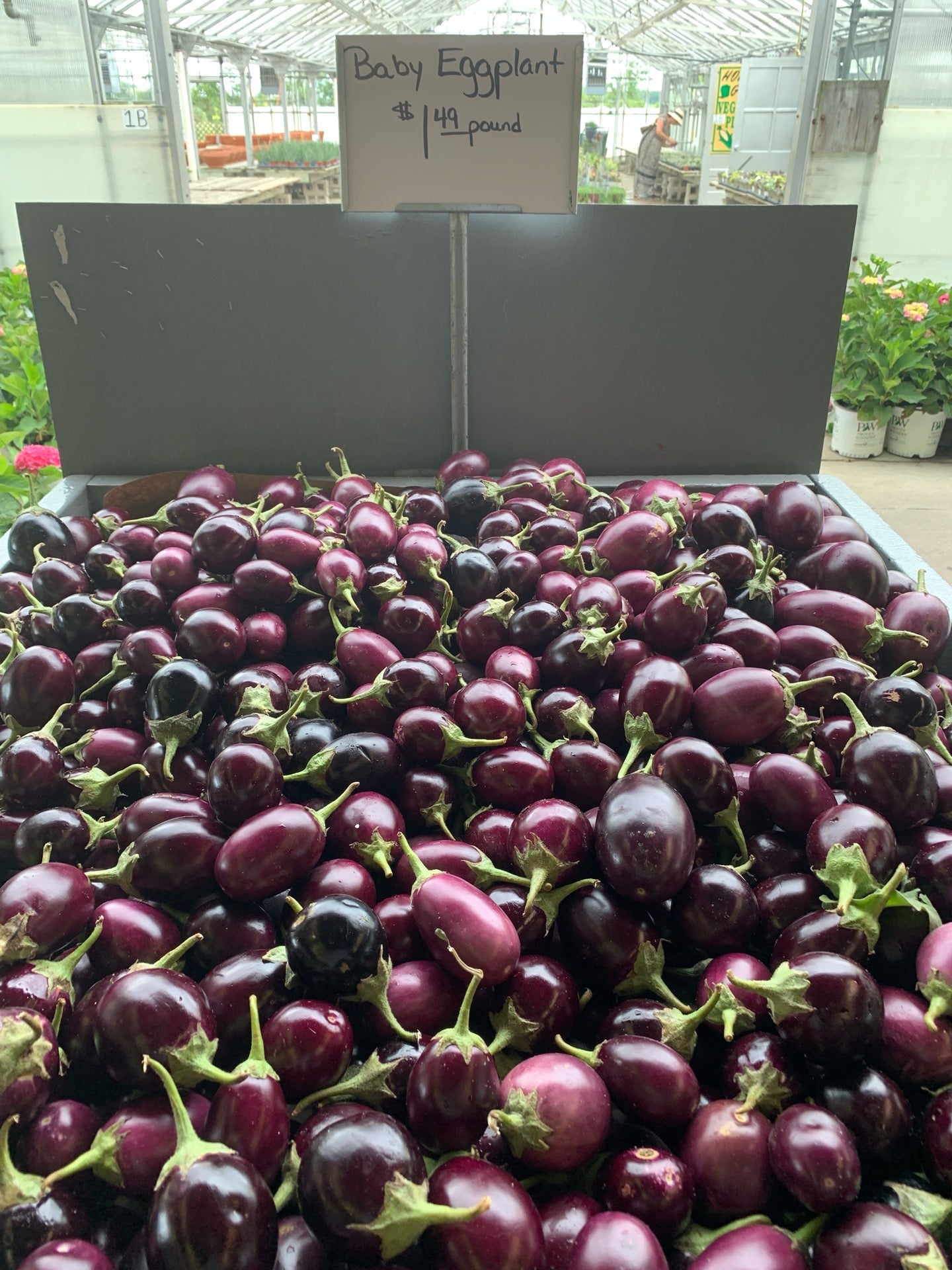 Block's Stand & Greenhouse, 29160 Eureka Rd, Romulus, MI, Grocers Health Foods MapQuest