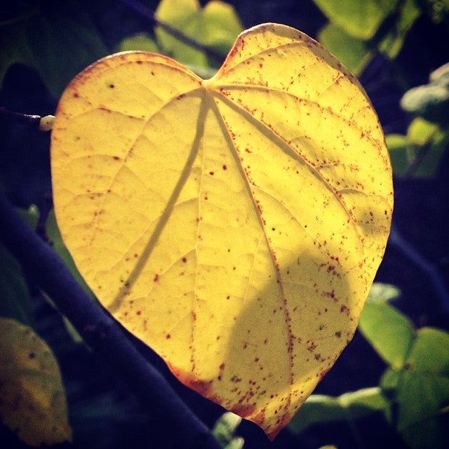 James Memorial Park, 1027 Ridge Rd, Sellersville, PA, Parks MapQuest