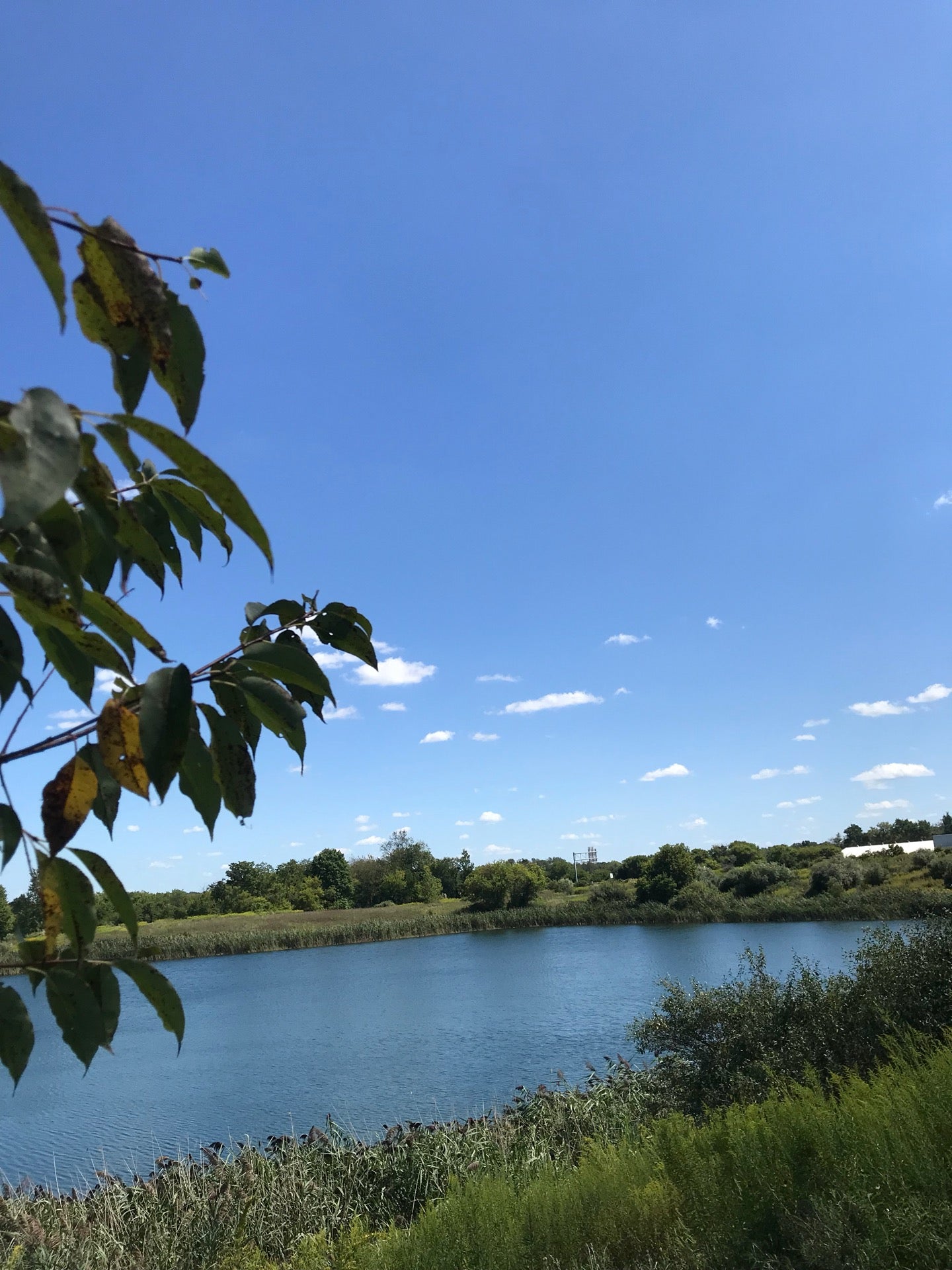 Westfield Center, OH Map & Directions MapQuest