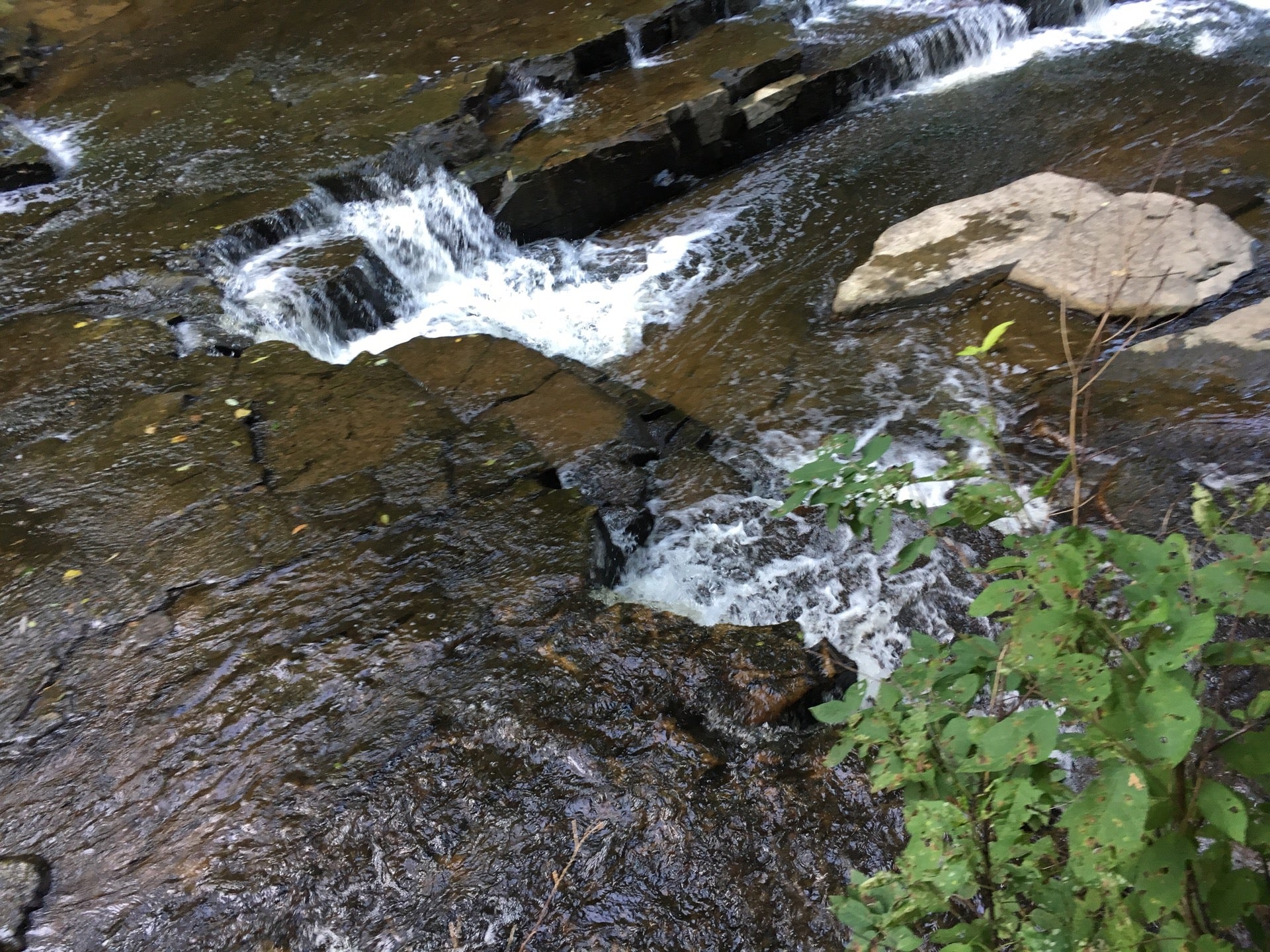 Devils River Campground, Maribel, WI MapQuest