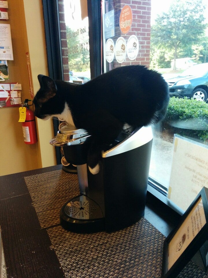 Harmony Animal Hospital, 2401 Reliance Ave, Apex, NC, Veterinarians - MapQuest Harmony Animal Hospital, 2401 Reliance Ave, Apex, NC, Veterinarians - MapQuest