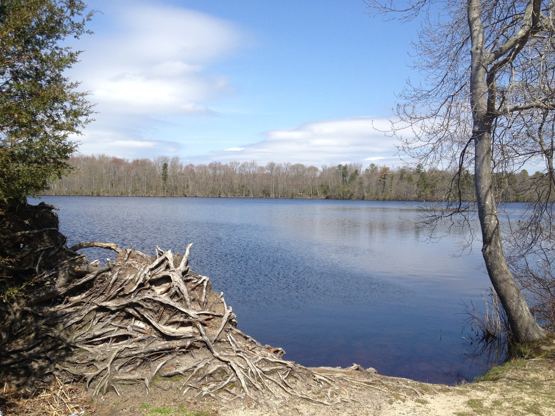 Pickle Factory Pond, Paper Mill Rd, Dennis Twp, NJ MapQuest