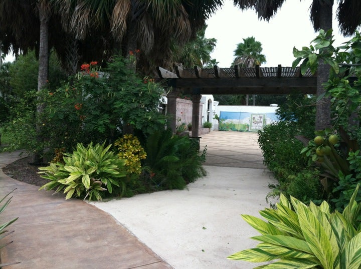 Edcouch, TX Map & Directions MapQuest