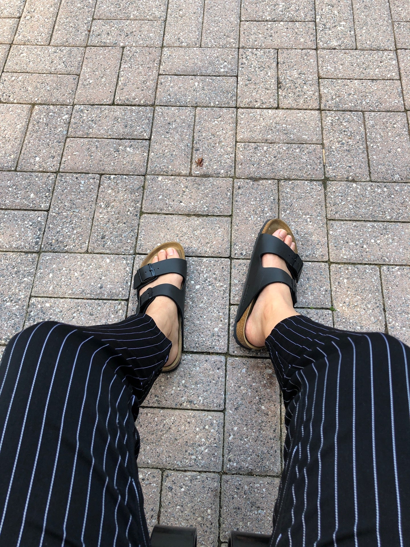 US Citizenship and Immigration Services, 2675 Prosperity Ave, Fairfax