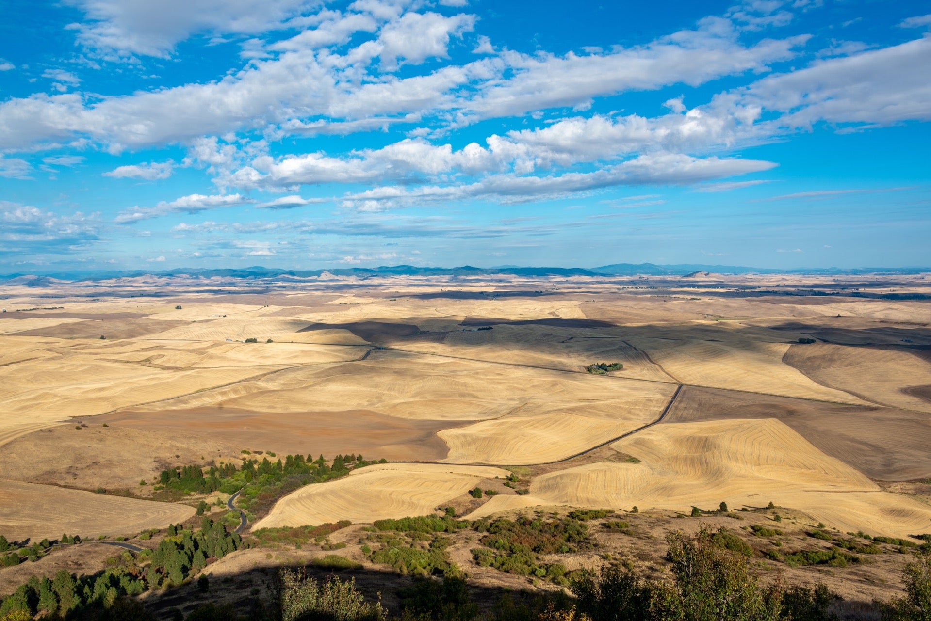 Steptoe Butte State Park, Milepost 72 Hume Road, Colfax, WA, Parks