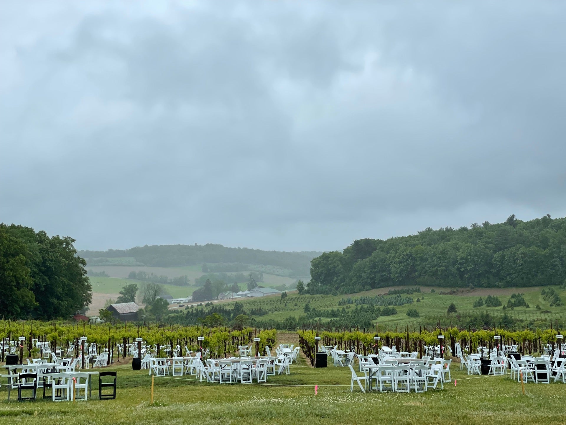 blue-ridge-estate-vineyard-winery-239-blue-ridge-rd-saylorsburg-pa