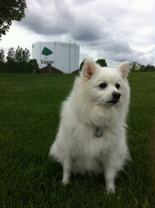 lexington-diffley-athletic-fields-4201-lexington-avenue-eagan-mn
