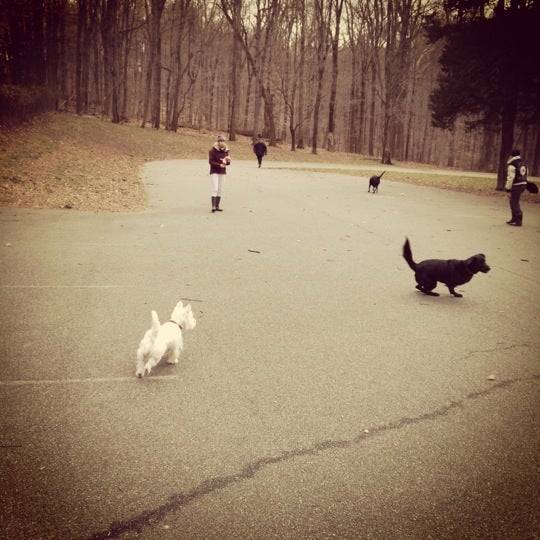 Mount Freedom, NJ Map & Directions MapQuest