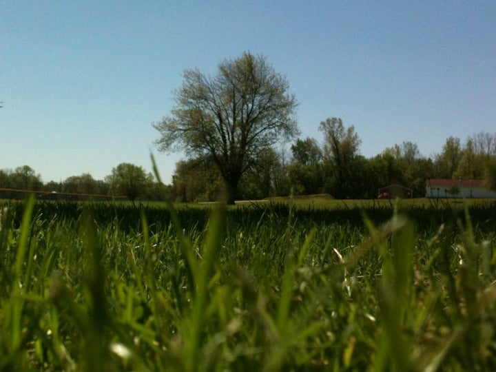 Chesaning, MI Map & Directions MapQuest