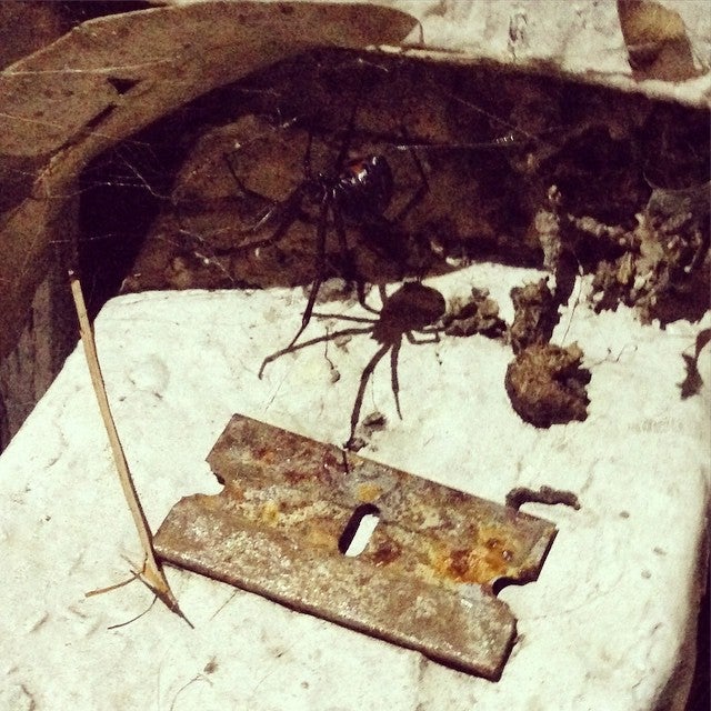 Chatsworth Car Wash, 10241 Mason Ave, Chatsworth, CA, Auto Repair