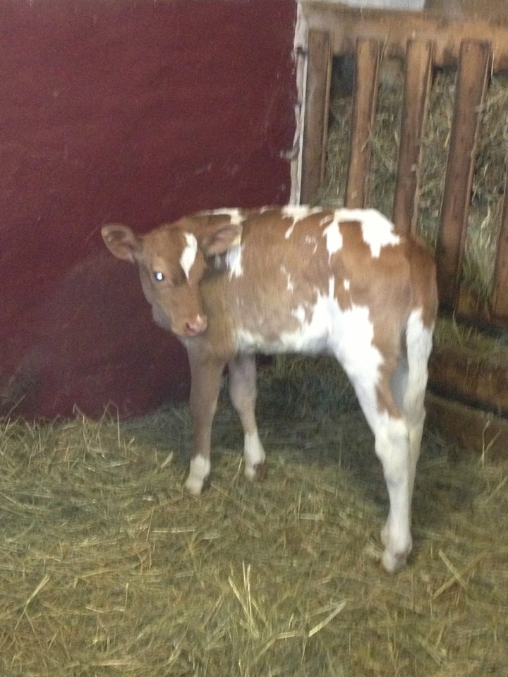 Sutersville, PA Map & Directions MapQuest