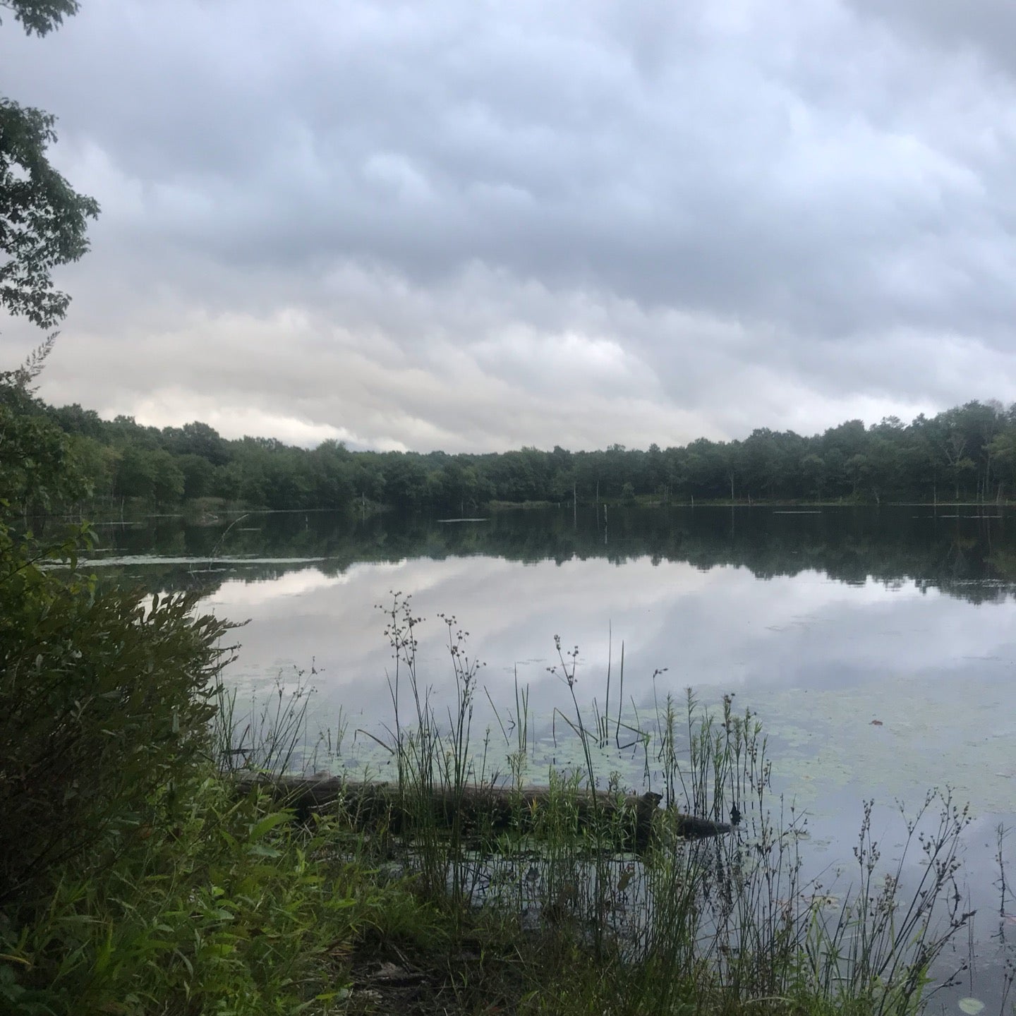 Penn Lake, Lakeview Dr, Penn Lake Park, PA MapQuest