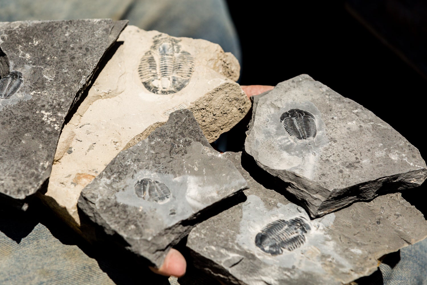 Beaver, UT Map & Directions MapQuest