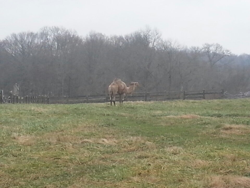 Strunk, KY Map & Directions MapQuest