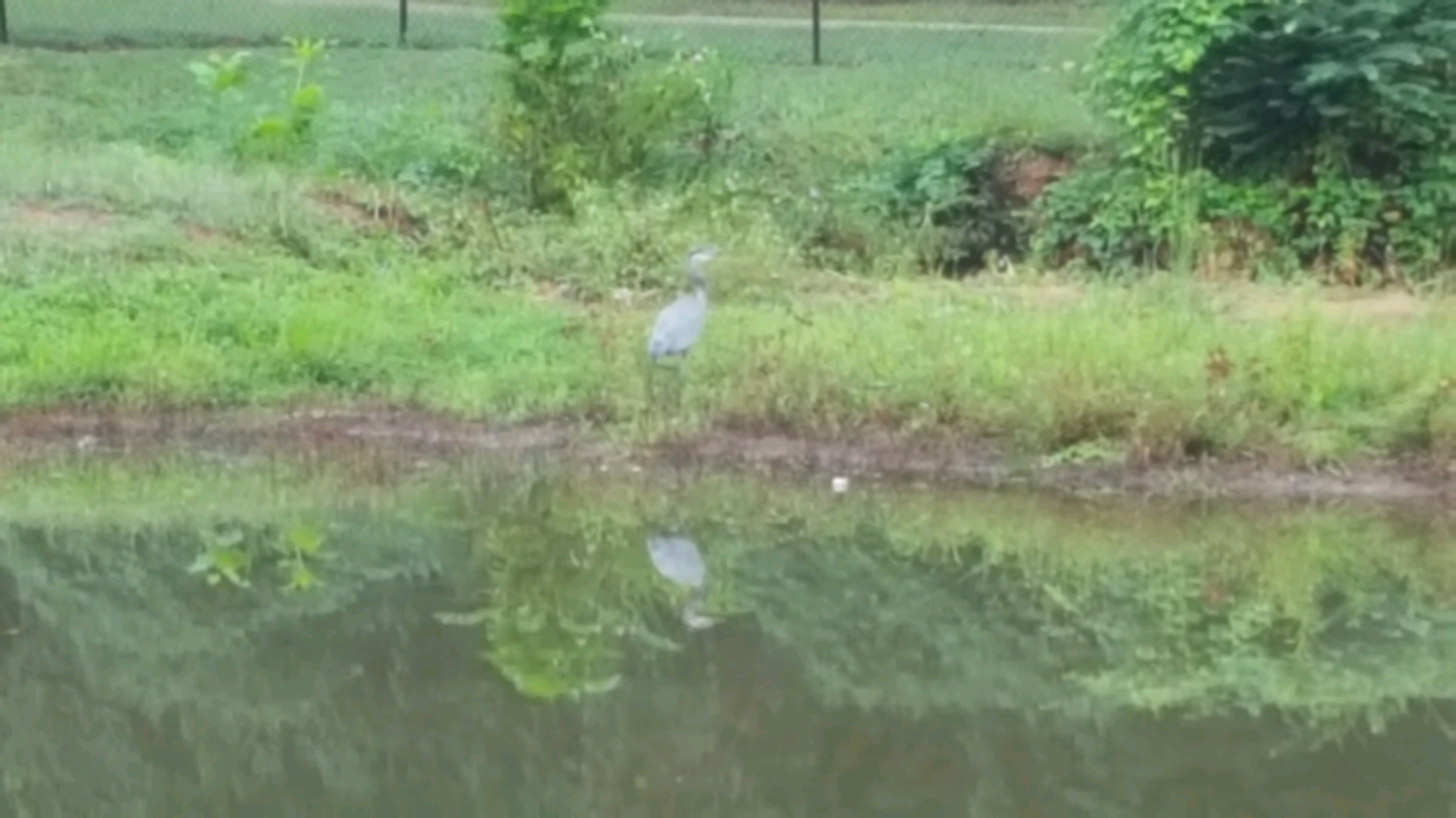 Hogansville, GA Map & Directions MapQuest