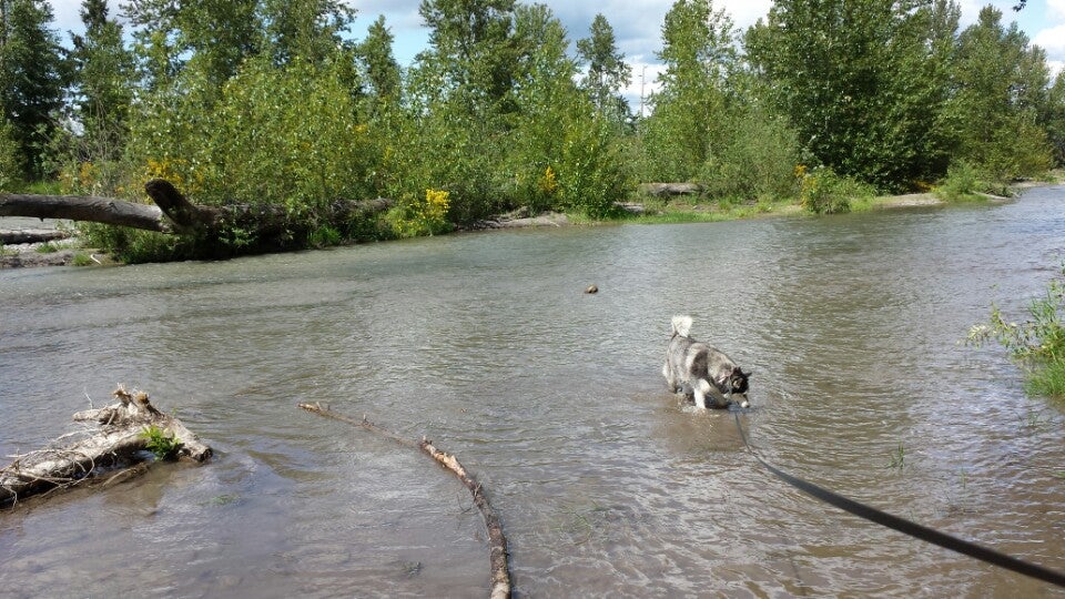 Algona, WA Map & Directions MapQuest