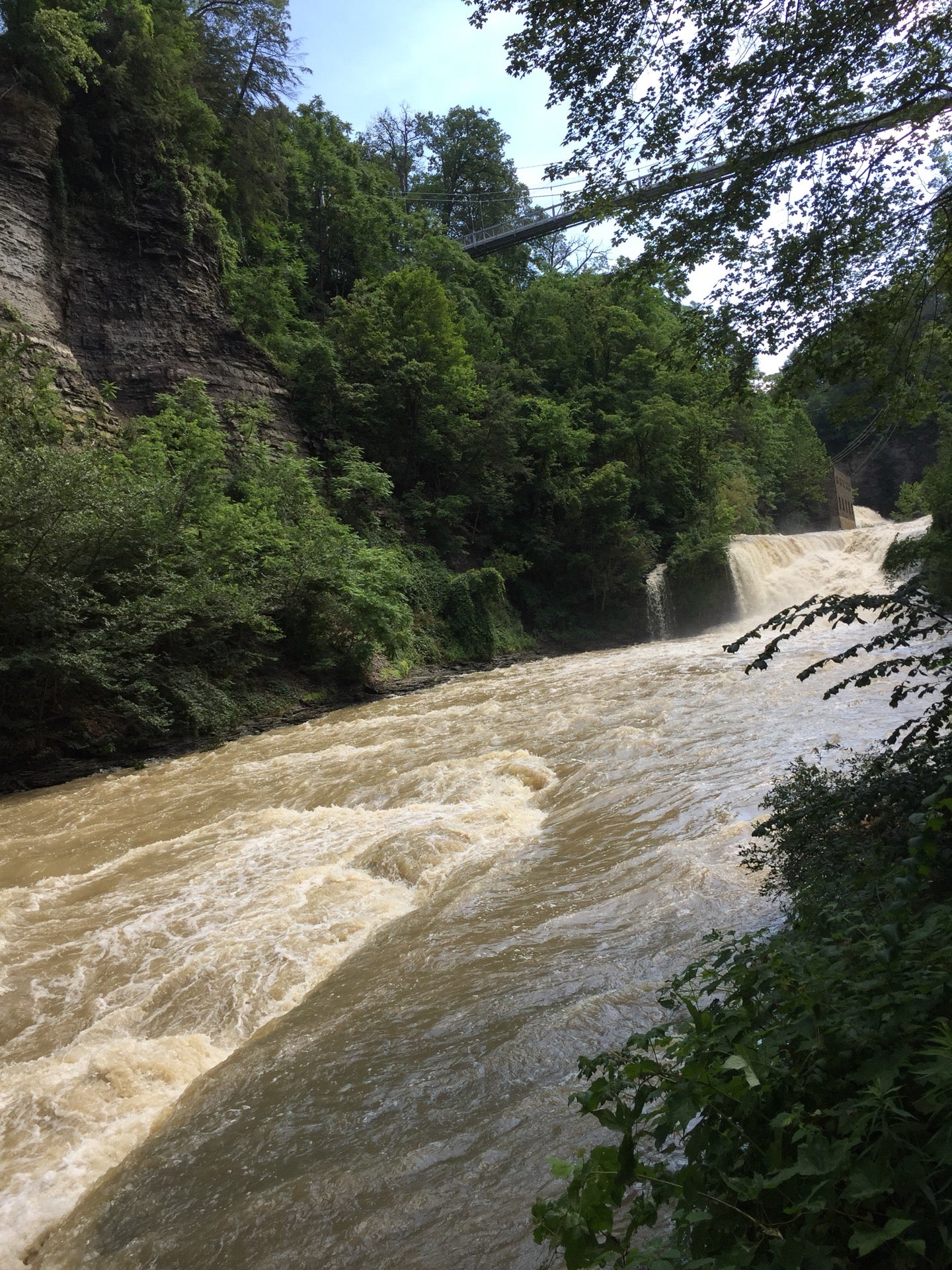 Fall Creek Suspension Bridge, Fall Creek Dr, Ithaca, NY, Trail