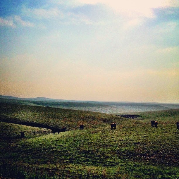 Bazaar Cattle Crossing, Kansas Turnpike, Cottonwood Falls, KS - MapQuest