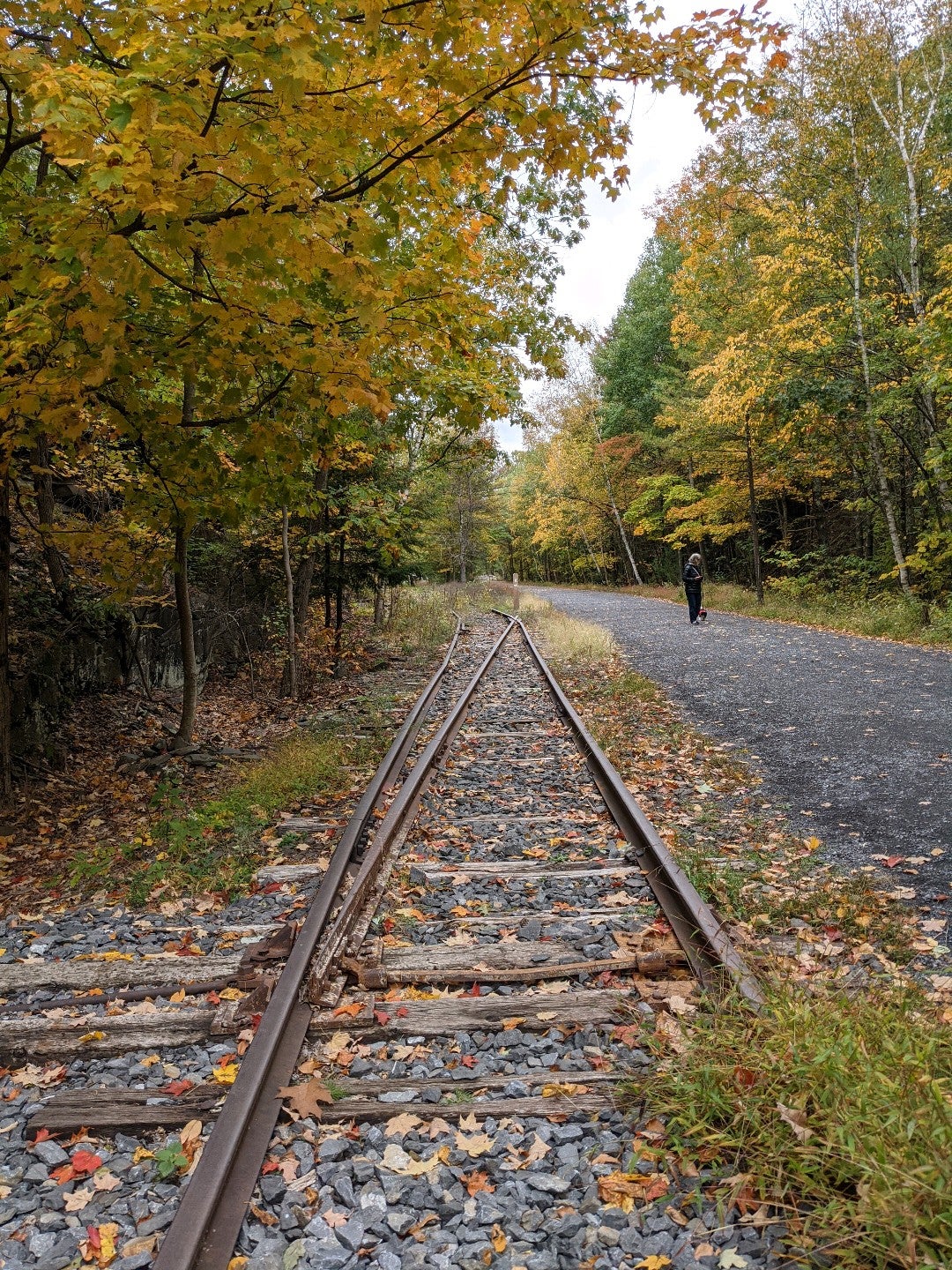 Ashokan Rail Trail, Shokan, NY, Trail MapQuest