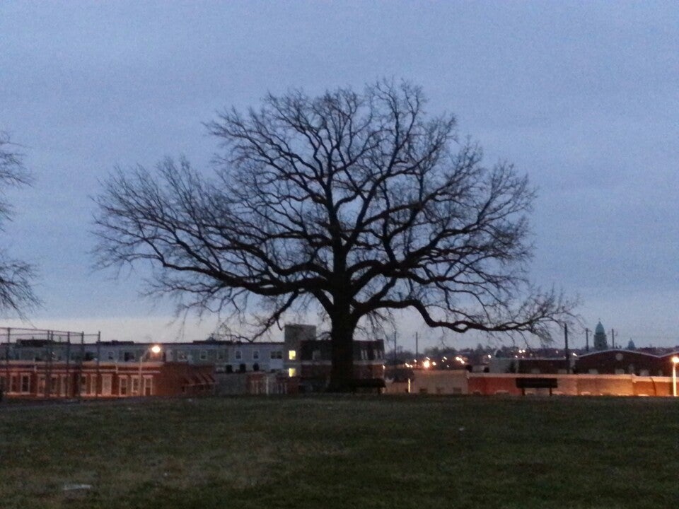 The Park At Collington