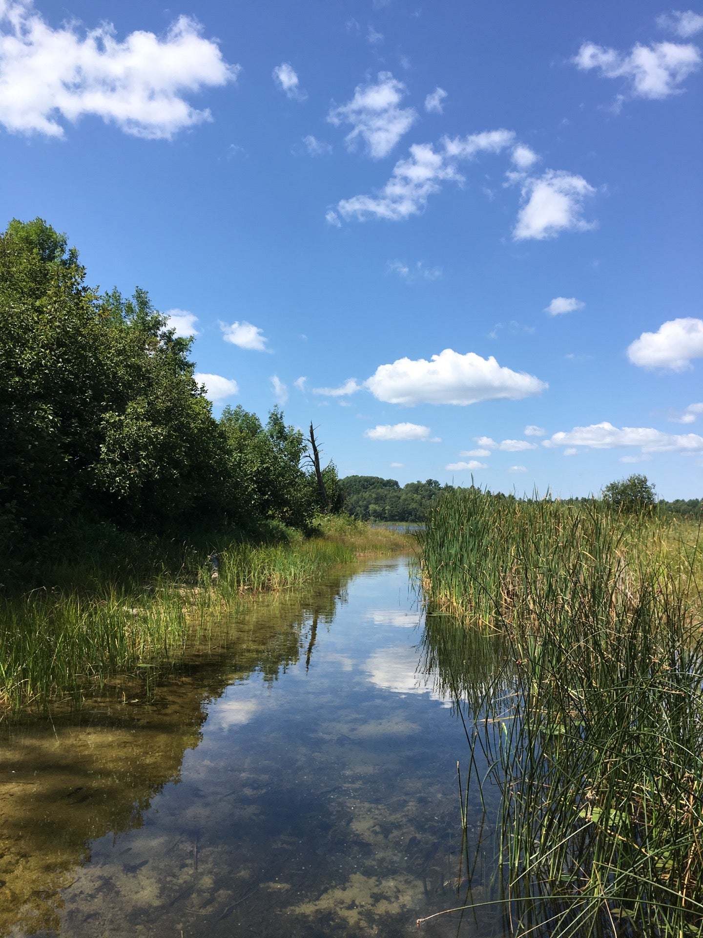 Deer Lake, Flagstone Rd, Nevis, MN, Services NEC MapQuest